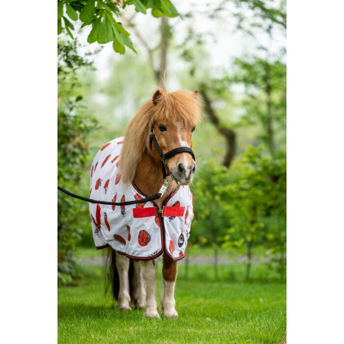 HKM Ladybug Fly Rug (No Fill) Closeout