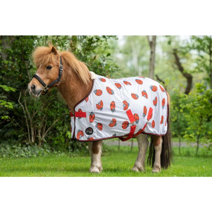 HKM Ladybug Fly Rug (No Fill) Closeout