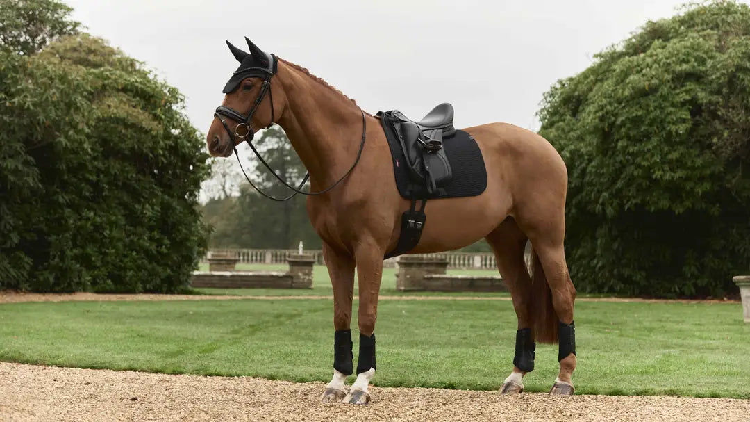 LeMieux Finesse Essence Dressage Square Saddle Pad