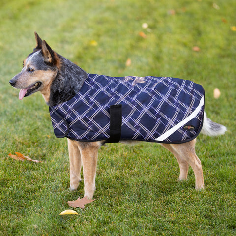 Kensington Signature Winter Dog Coat (180g)