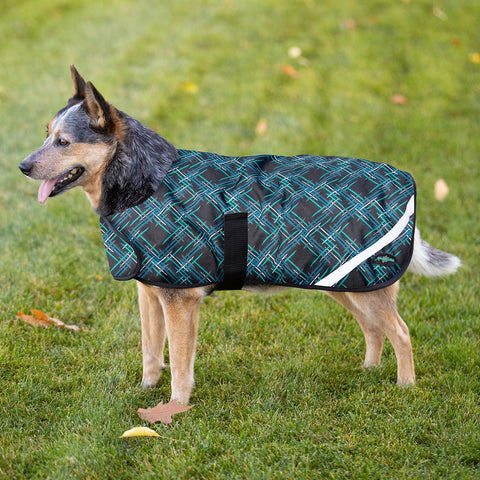 Kensington Signature Winter Dog Coat (180g)