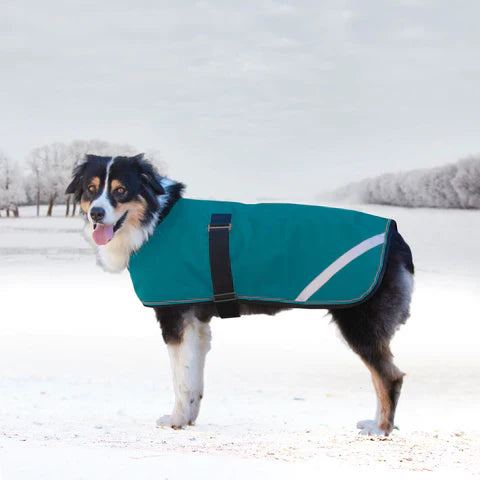 Kensington Signature Winter Dog Coat (180g)
