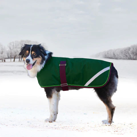 Kensington Signature Winter Dog Coat (180g)