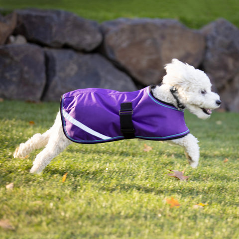Kensington Signature Winter Dog Coat (180g)