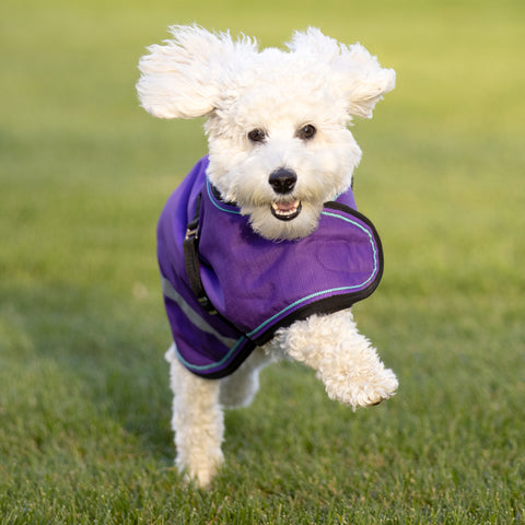 Kensington Signature Winter Dog Coat (180g)