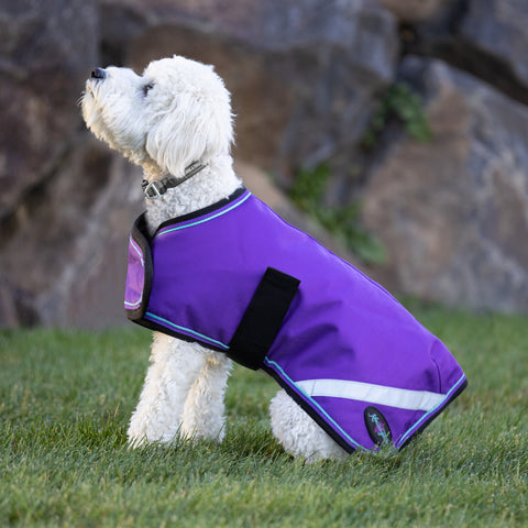 Kensington Signature Winter Dog Coat (180g)