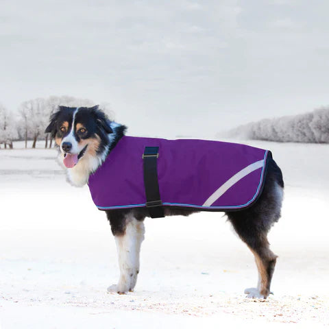 Kensington Signature Winter Dog Coat (180g)