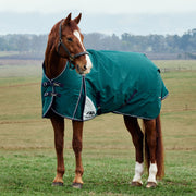 image_main - Forest Green/Navy -  - .jpg