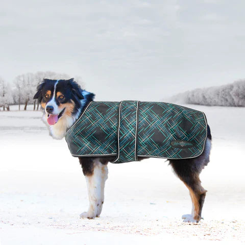 Kensington Signature Winter Dog Coat with Chest Guard (180g)