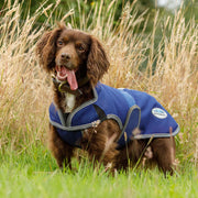 image_main - Dark Blue/Grey/White - WeatherBeeta ComFiTec Premier Free Parka Deluxe Dog Coat Medium - .jpg
