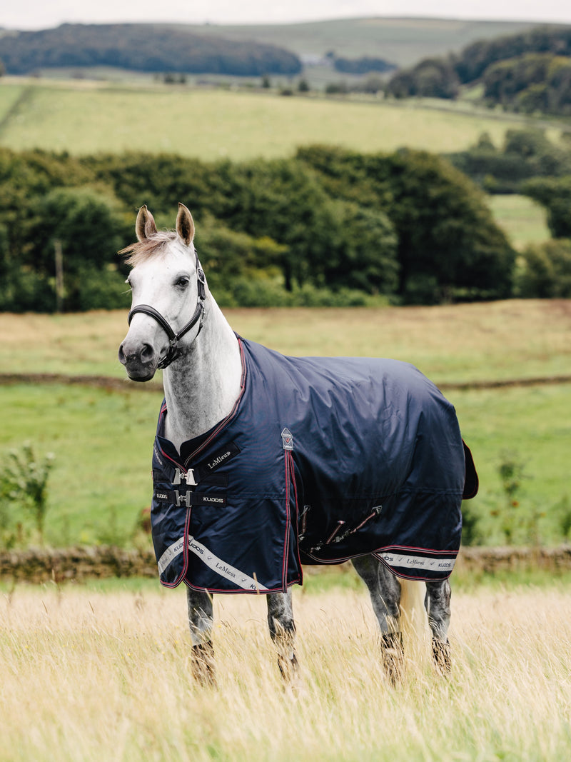 LeMieux Kudos Turnout Blanket (50g Medium/Lite, with Detachable Hood) in Navy