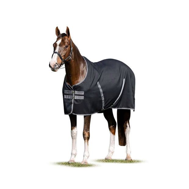 Rambo Stable Sheet with Embossed Lining (No Fill)