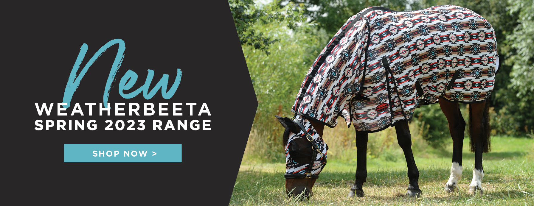 WeatherBeeta Spring 2023 New Product Banner