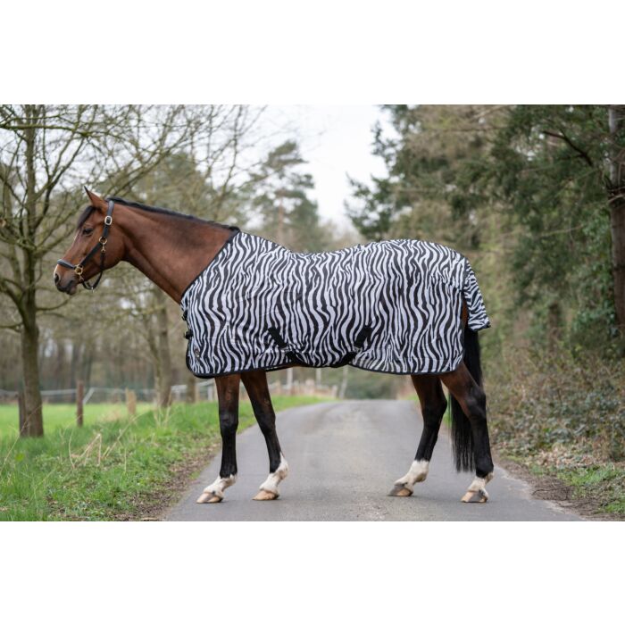 Miniature Horse Rugs at Best Price in Kanpur - ID: 4614635 | Joya