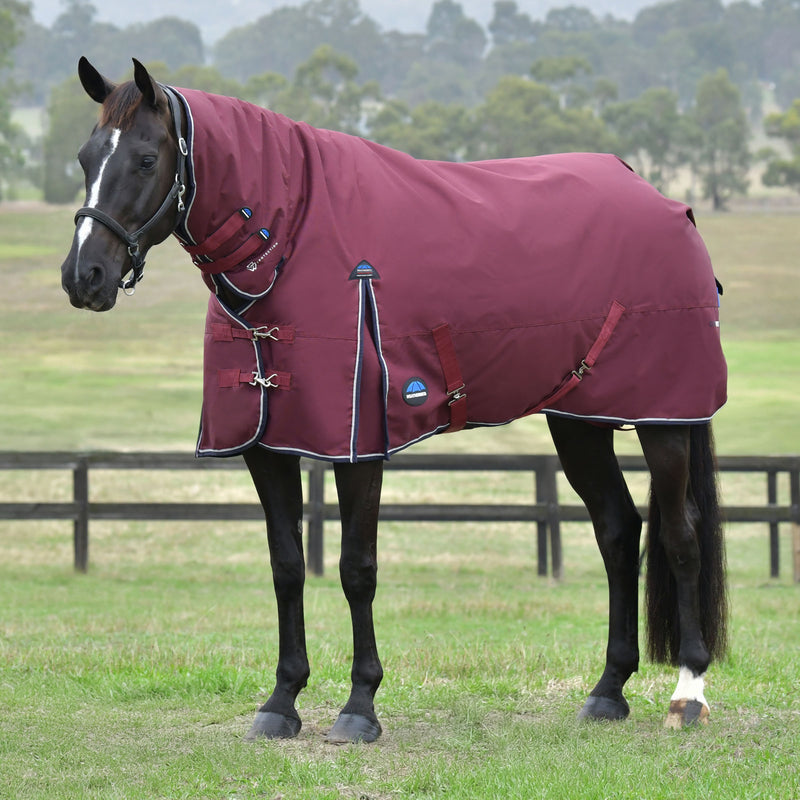 image_main - Burgundy/Navy -  - .jpg