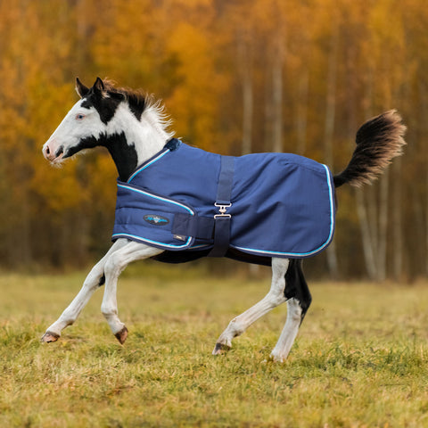 Kensington Foal Adjustable Turnout Blanket (180g Medium)
