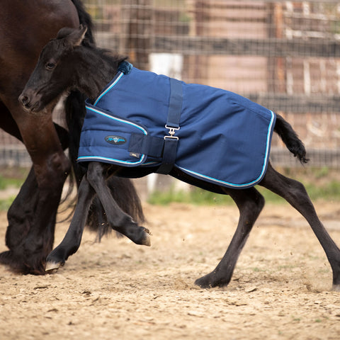 Kensington Foal Adjustable Turnout Blanket (180g Medium)