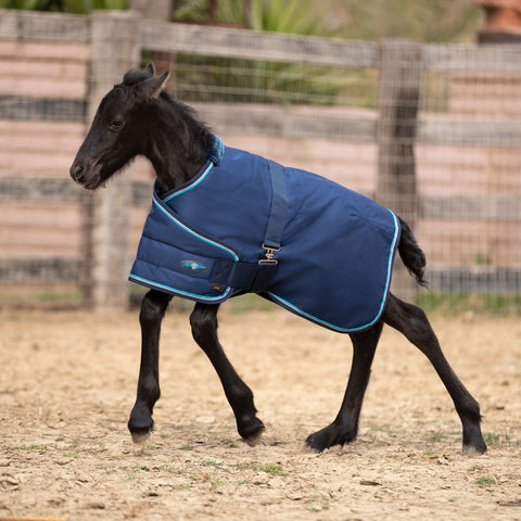 Kensington Foal Adjustable Turnout Blanket (180g Medium)