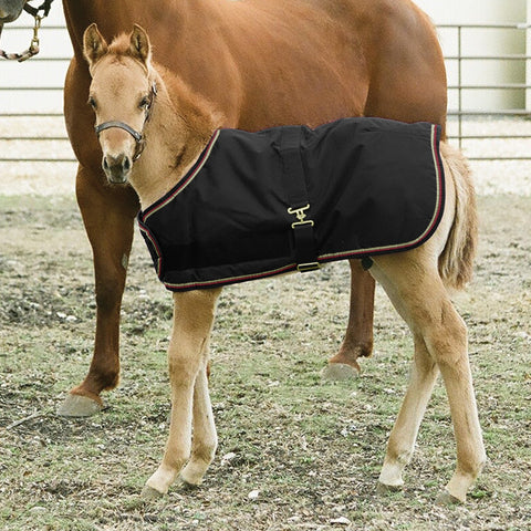 Kensington Foal Adjustable Turnout Blanket (180g Medium)