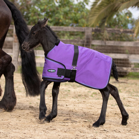 Kensington Foal Adjustable Turnout Blanket (180g Medium)