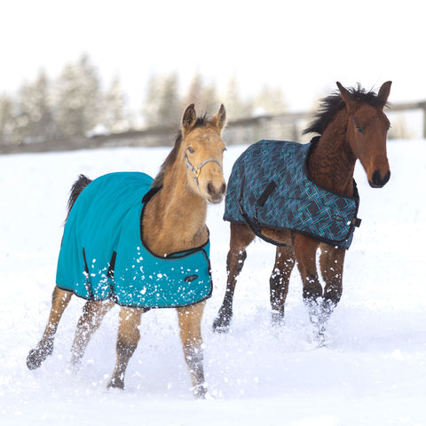 Kensington Yearling Adjustable Turnout Blanket (180g Medium)