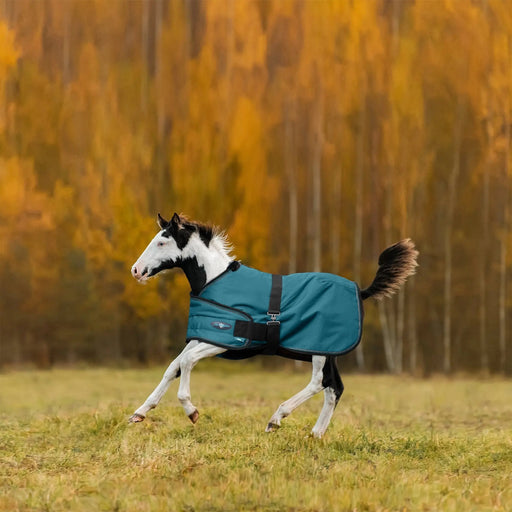Kensington Foal Adjustable Turnout Blanket (180g Medium) in Harbor