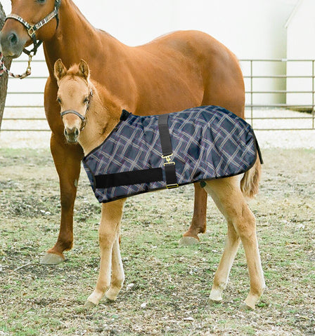 Kensington Foal Adjustable Turnout Blanket (180g Medium)