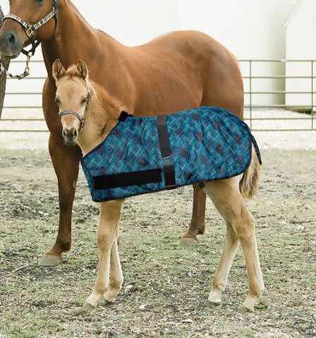 Kensington Foal Adjustable Turnout Blanket (180g Medium)