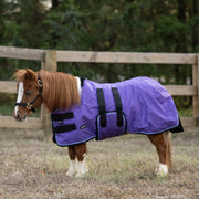 Kensington Mini Signature Turnout Blanket (80g Medium-Lite) in Purple