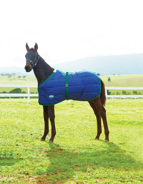 WeatherBeeta 420D Standard Neck Foal Stable Blanket (180g Medium)