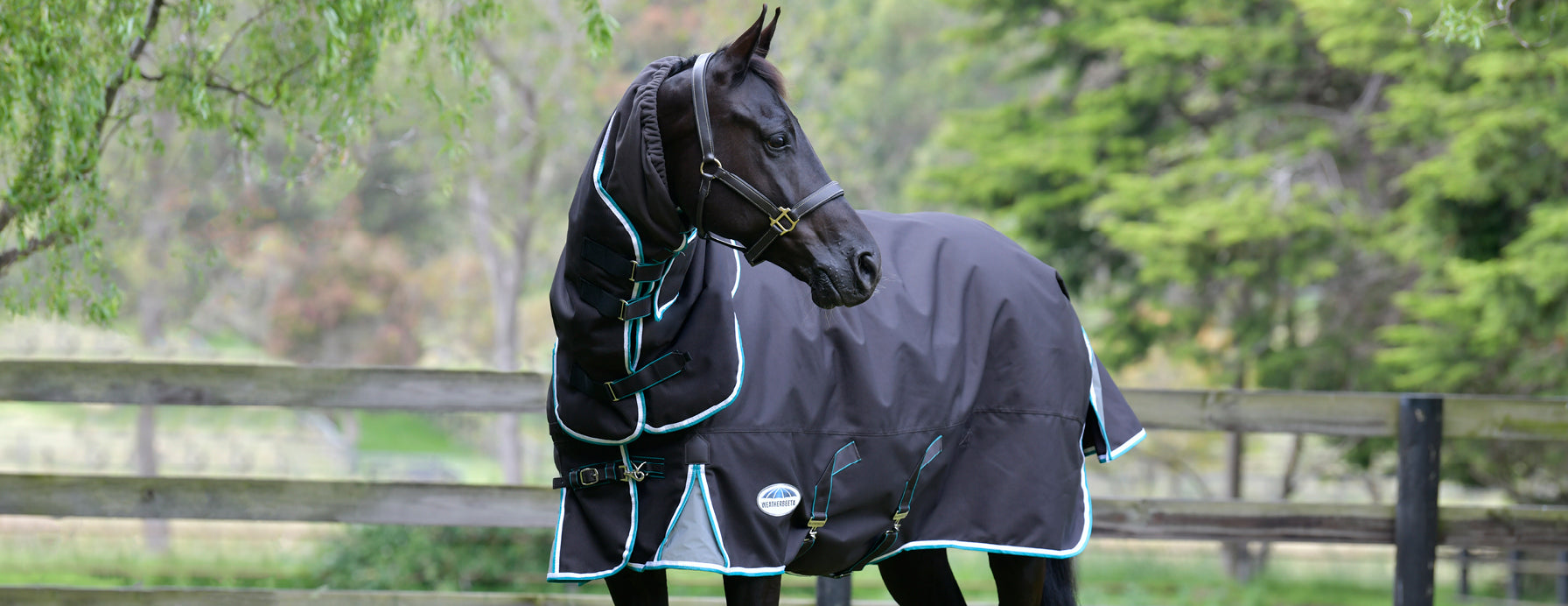 Black 1 Inch Nylon Blanket Replacement Leg Holds - Big Black Horse, LLC