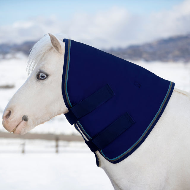 Kensington Signature Neck Warmer Mini(180g Medium)