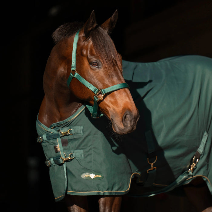 Kensington Equine Horse Poly Cotton Day Sheet|Breathable Stable Sheet In Hunter - Chest