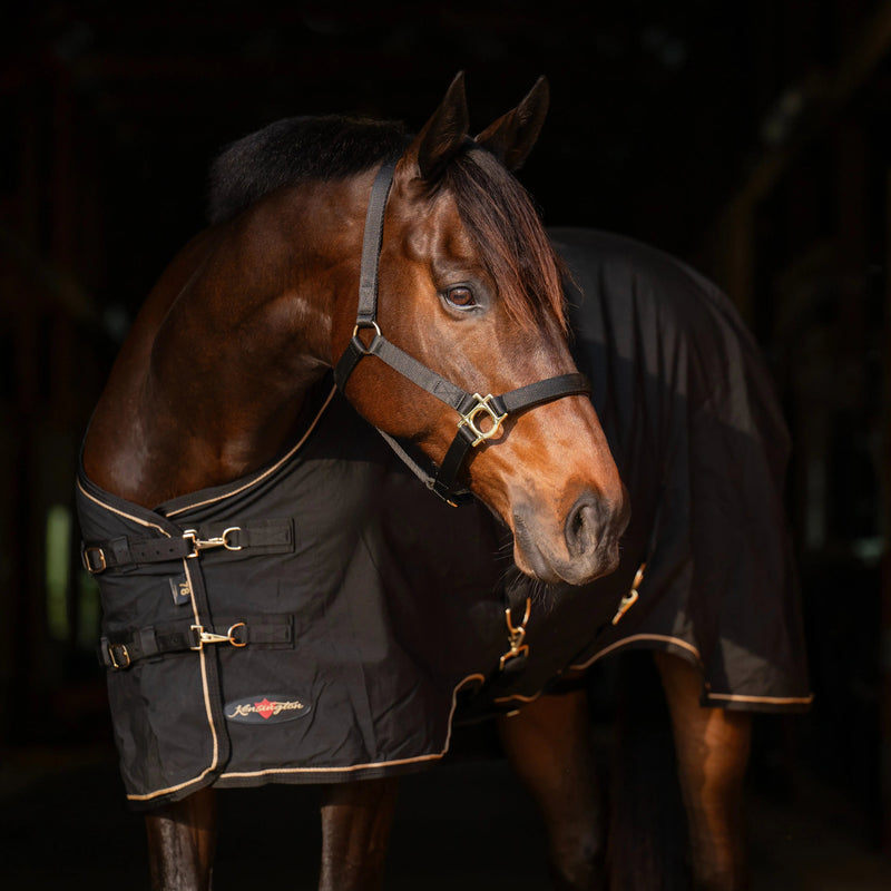 Kensington Equine Horse Poly Cotton Day Sheet|Breathable Stable Sheet In Black - Chest