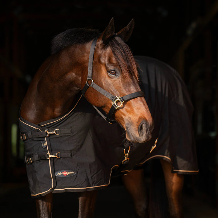 Kensington Equine Horse Poly Cotton Day Sheet|Breathable Stable Sheet In Black - Chest