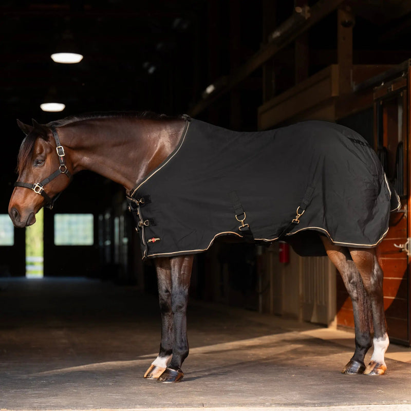 Kensington Equine Horse Poly Cotton Day Sheet|Breathable Stable Sheet In Black 