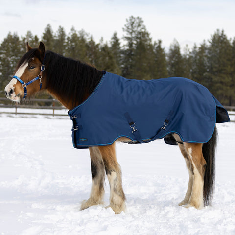 Kensington Signature Draft Turnout Blanket (300g Heavy)