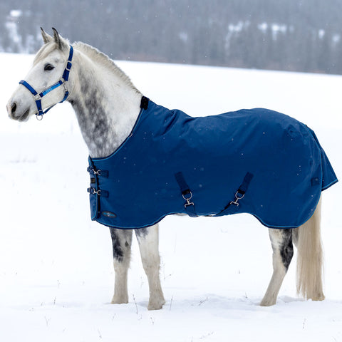 Kensington Signature Turnout Blanket (180g Medium)