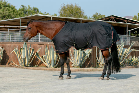 Kensington Signature Turnout Blanket (300g Heavy)