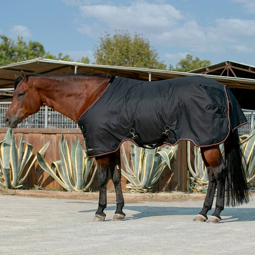Kensington Signature Turnout Blanket (180g Medium) in Black