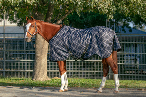 Kensington Pony Signature Turnout Blanket (80g Medium-Lite)