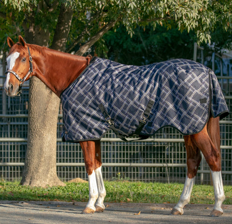 Kensington Signature Turnout Blanket (180g Medium)