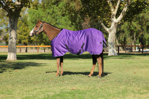 Kensington Pony Signature Turnout Blanket (80g Medium-Lite)