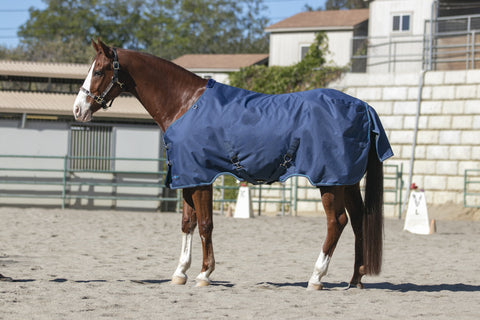 Kensington Signature Turnout Blanket (300g Heavy)