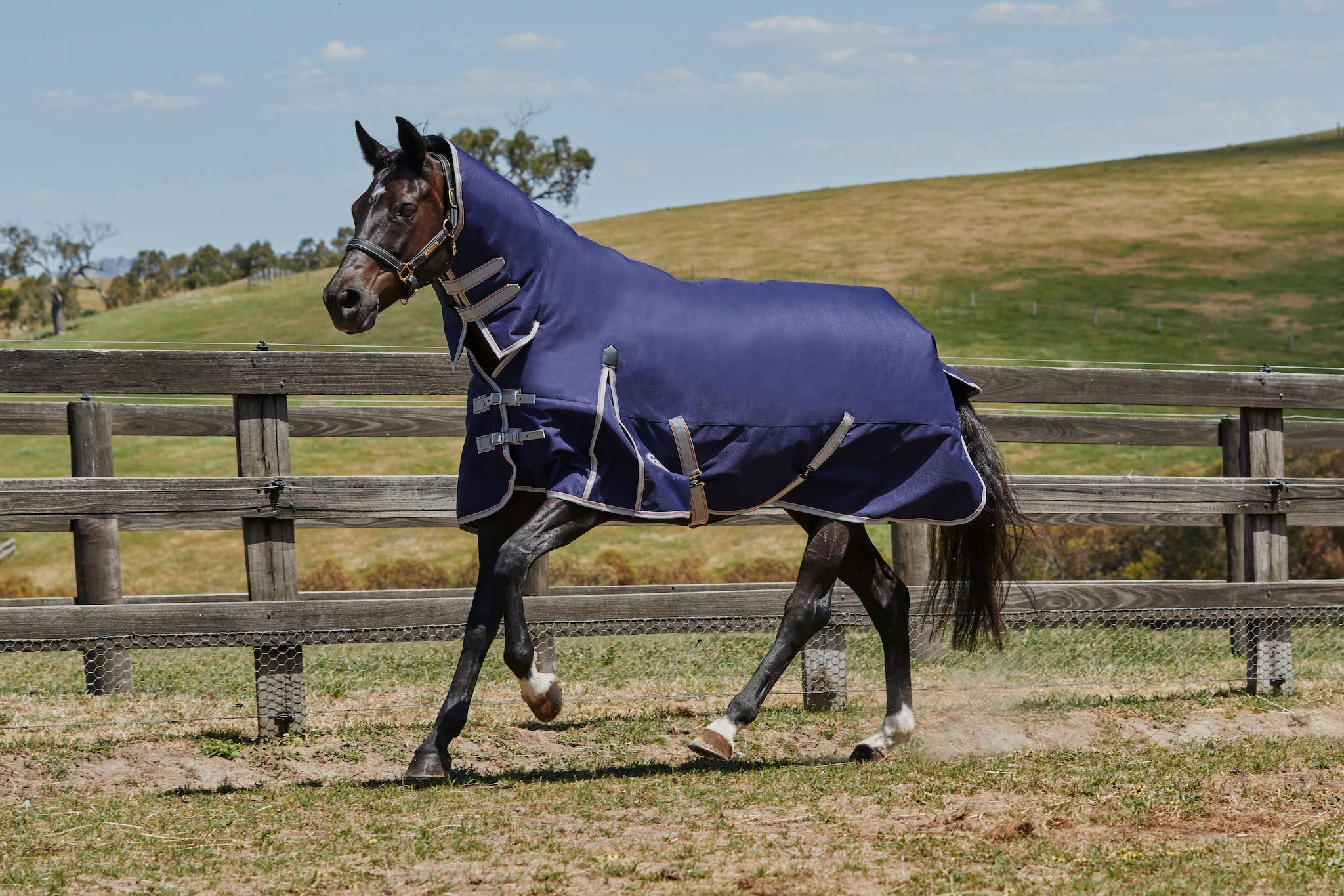 Turnout Sheets & Blankets — Performance Horse Blankets