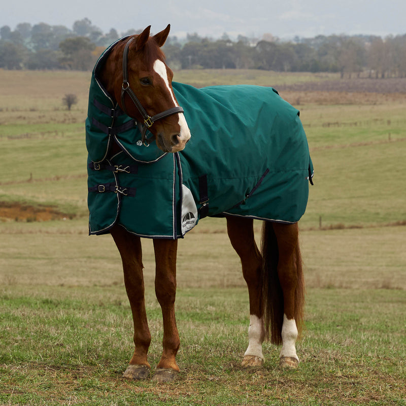 image_main - Forest Green/Navy -  - .jpg