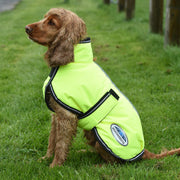 image_main - Yellow - WeatherBeeta ComFiTec Reflective Parka 300D Deluxe Dog Coat - .jpg