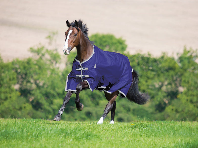 Shires Highlander Plus Standard Neck Turnout Sheet (0g Lite)