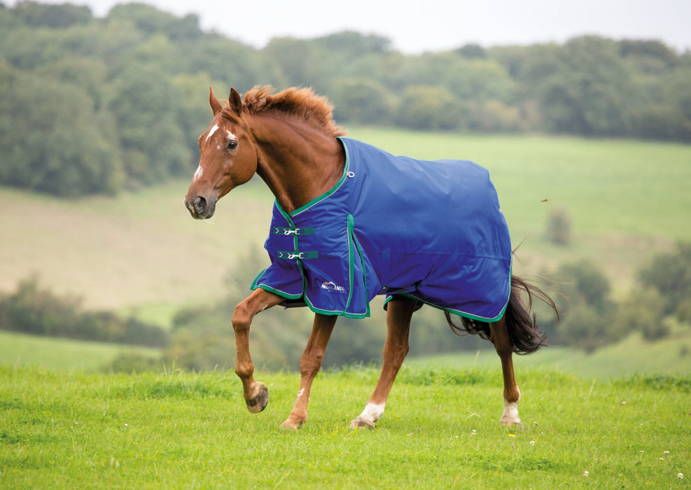 Shires Highlander Plus Standard Neck Turnout Blanket (200g Medium)