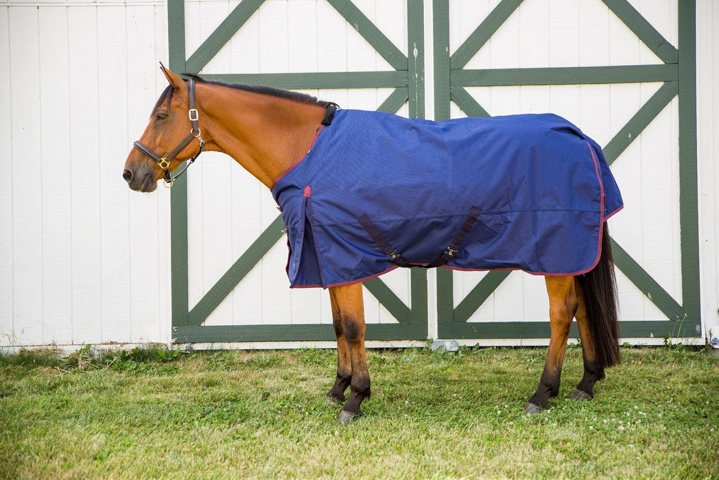 Shires Highlander Plus Standard Neck Turnout Blanket (300g Heavy)